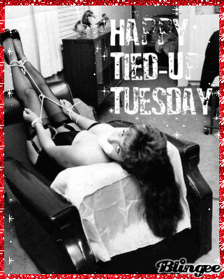 happy tied up tuesday picture blingee com