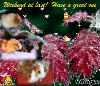 weekend