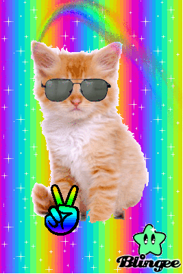 Https Encrypted Tbn0 Gstatic Com Images Q Tbn 3aand9gct Jdwaqfka5pdhm9ntik6xxzjwaer7kqhtfa Usqp Cau