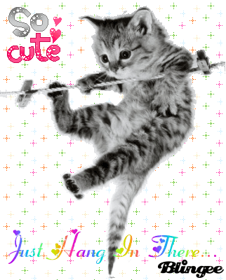 Https Encrypted Tbn0 Gstatic Com Images Q Tbn 3aand9gcsfknh2vmecisobmkd0k4ezozlw8tvu9xzv1g Usqp Cau