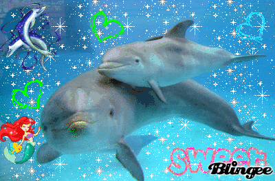 Immagine Delfini 75814818 Blingee Com