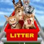 kittens ride