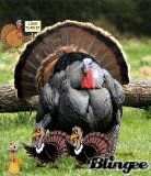 THANKSGIVING 4 @ngel@
