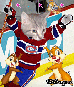Chat canadien Chat canadien