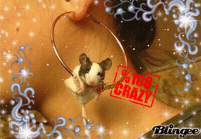 Another crazy mouse -.-