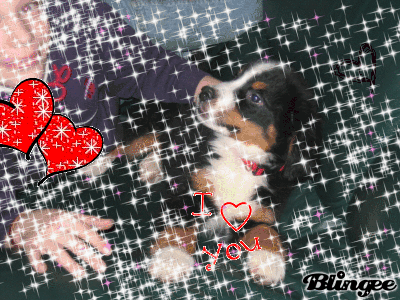 mon chien mon chien
