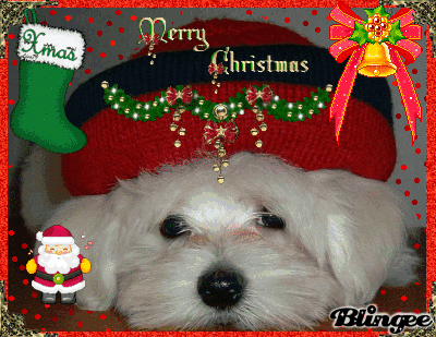 Merry Christmas dog Picture #76278139 | Blingee.com