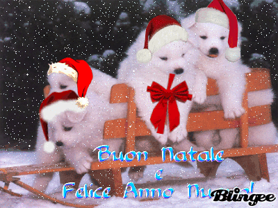 Immagine Cuccioli Natalizi 76745313 Blingee Com