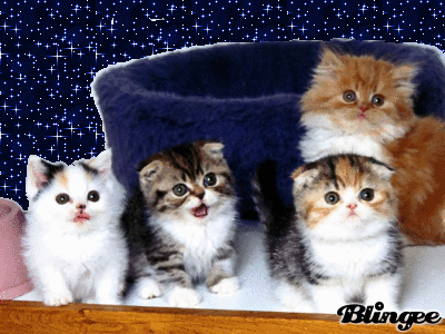 Https Encrypted Tbn0 Gstatic Com Images Q Tbn 3aand9gctm3d4g8n Uhhqxub Rqn5fwj7kpugsftupea Usqp Cau