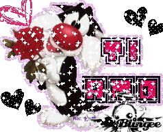 Gatto Silvestro Votami Please Picture 76887780 Blingee Com