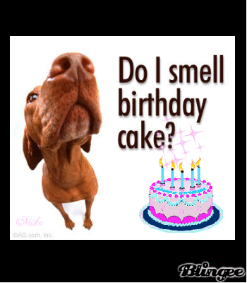 happy birthday puppy gif happy birthday animated gif happy birthday puppy gif happy birthday animated gif