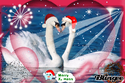love swan