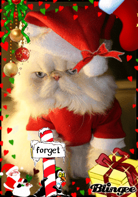 Cat &hearts;