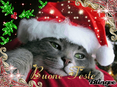 Buone Feste!!! Buone Feste!!!