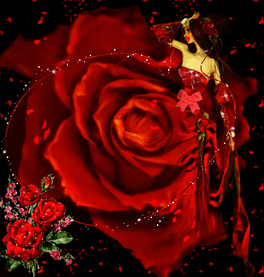 Lady Rose