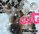 my dogs!!!!!