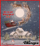 Christmas Flight Christmas Flight