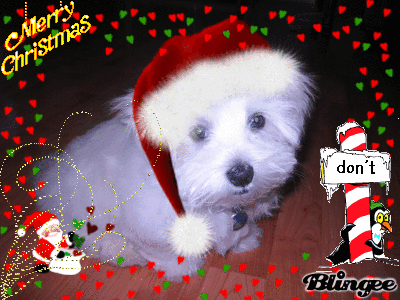 merry x mas!!!11