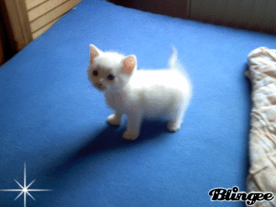 Https Encrypted Tbn0 Gstatic Com Images Q Tbn 3aand9gcsrhilkb4uqknc3zaweyhpyvysspi1hchwcu294aawo8wyci5c5 Usqp Cau