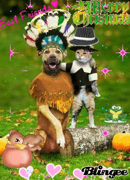 funny friends funny friends
