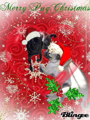 merry pug pictures merry pug picture 78382875 blingee merry pug pictures merry pug picture 78382875 blingee