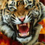 The Flaming Tiger The Flaming Tiger