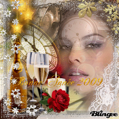 Bonne année 2009