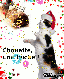 Une Buche