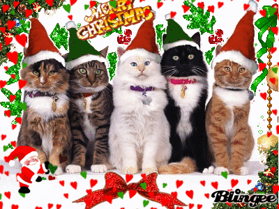 Https Encrypted Tbn0 Gstatic Com Images Q Tbn 3aand9gcrfdv Ukwdj33a0i4ljmkrwntswcajnuttc4q Usqp Cau