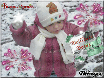 Bonne ANnée !!!! Bonne ANnée !!!!