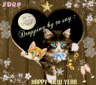 Kitten Happy New Year Kitten Happy New Year
