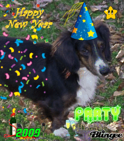 Time 2 PARTY!!! Time 2 PARTY!!!