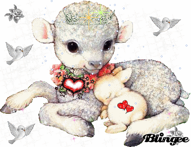 Https Encrypted Tbn0 Gstatic Com Images Q Tbn 3aand9gctshwbfqyz2rqkftt H0mhh G6qscavvejidq Usqp Cau