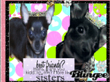 Best Furiends!