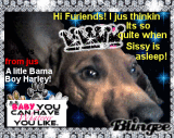 Have a great Week my DS furiends!