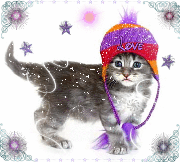 Ya luv my hat ? Meow Ya luv my hat ? Meow