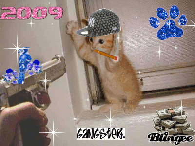sacrer chat sacrer chat