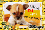 FREUND 1 FREUND 1