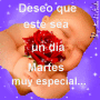 mastes