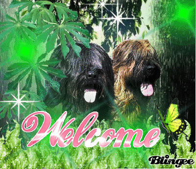 Welcome!