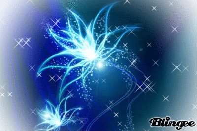 Moonflower Picture 81593375 Blingee Com Moonflower Picture 81593375 Blingee Com