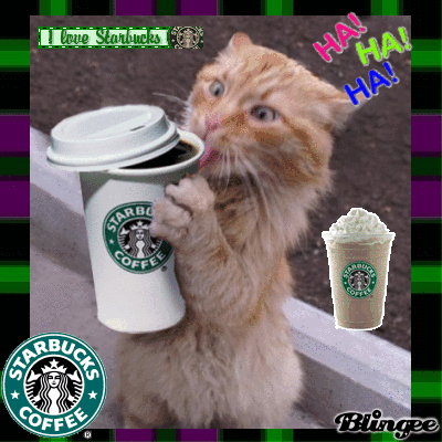 Starbucks Kitty...LOL Picture #81799709 | Blingee.com