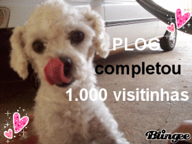 1.000 visitinhas