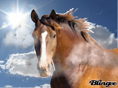 Cavallo Sulle Nuvole Codici E Download Di Immagini Animate 82247309 358646549 Blingee Com