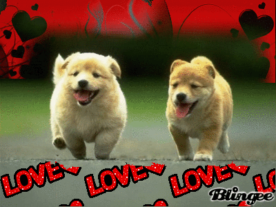 Immagine Due Cani Innamorati 82256654 Blingee Com