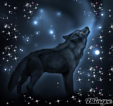 Lupo Nero Codici E Download Di Immagini Animate 82681143 362260670 Blingee Com