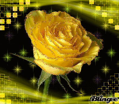 Buongiorno Con Le Rose Gif Get Images