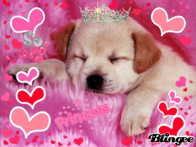 princess puppy puppy princess picture 83783551 blingee princess puppy puppy princess picture 83783551 blingee