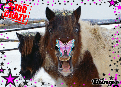Happy Horse Picture 84332989 Blingeecom