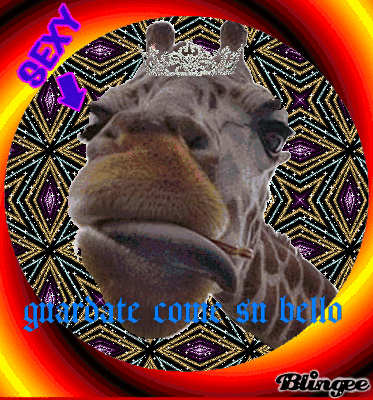 Giraffa Divertente Immagini Animate Da Condividere 84431149 Blingee Com